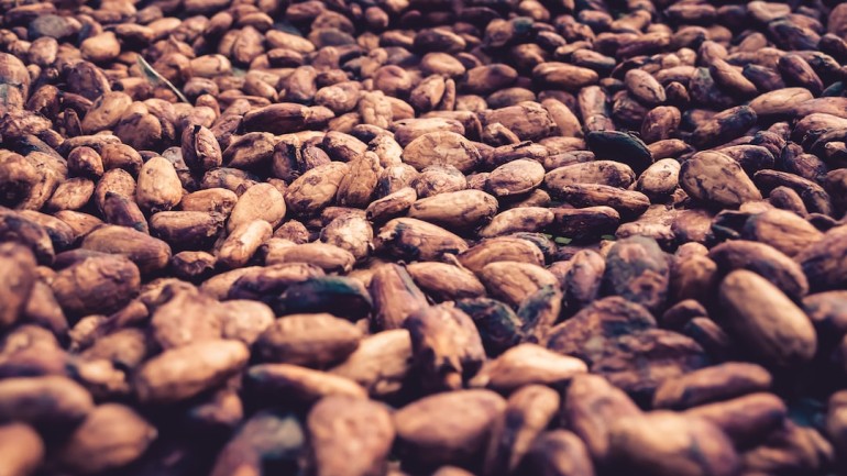 Kakao ceremonialne – jakie jest jego zastosowanie i co warto o nim wiedzieć?